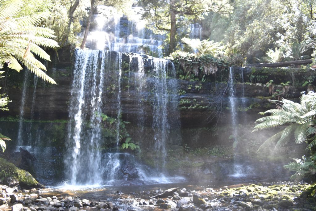 Russel Falls Tasmania