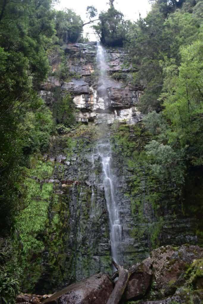 Adamsons Falls in South West National Park Tasmania