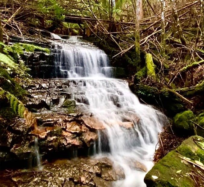 Neil Krikul waterfalls